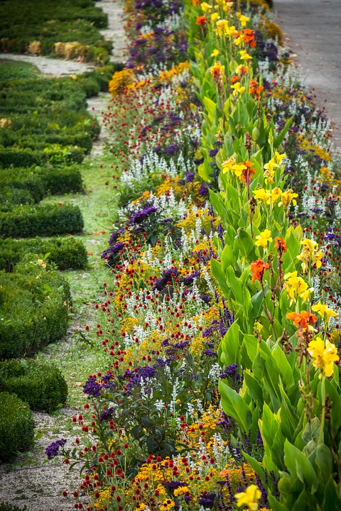 création jardin